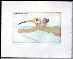 Michel Lablais: Etching Swimming Birdman 'Homme-Ibis, signed, peculiar swimmer - Graphic work, Original Prints
