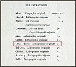 Raoul Ubac: 'Torso' 1966, Original Lithograph for Maeght and Redfern, nude study - Graphic work | Prints